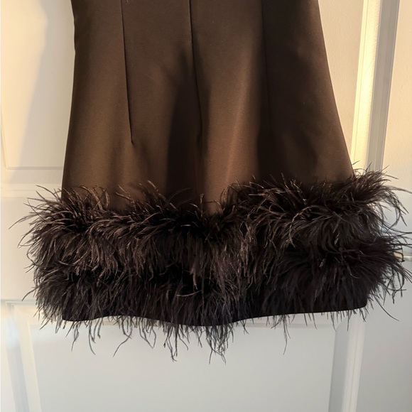 Zara - Stretchy Feather Dress - Black Mini Dress with Feathered Hem - LimitedEd - Picture 7 of 13